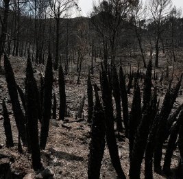 Пожар в Альмерии