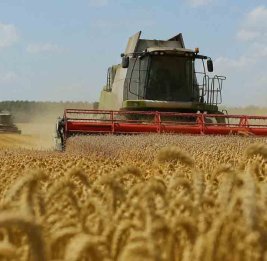Reuters: Дефицит топлива и проблемы в Азовском море ударили по сельскому хозяйству России