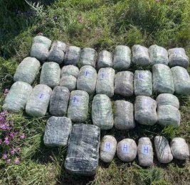 За последний месяц из незаконного оборота изъято более 370 кг наркотиков