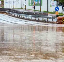 Ливни в Южной Корее привели к 540 случаям ущерба имуществу