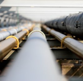Венгрия просит США не наказывать ее за российские нефть и газ