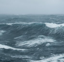 
МЧС предупредило об опасности купания в море в ветреную погоду