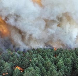 Крупный лесной пожар нарушил железнодорожное сообщение на юге Франции
