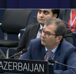 Азербайджан объявил в UNESCO о новой программе поддержки малых островных государств