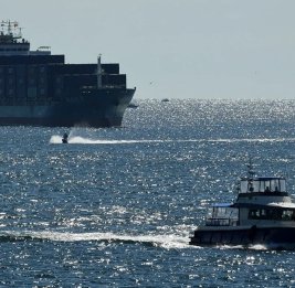 
UKMTO сообщил об атаке на судно в водах ОАЭ