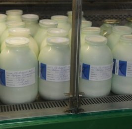 Поддержка семейных ферм: запущен новый проект по маркировке молочной продукции