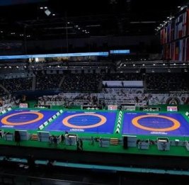 Домашний чемпионат как инвестиция в будущее