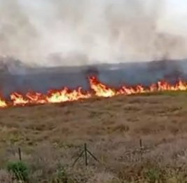 Пожар в Агдамском районе ликвидирован, несмотря на взрывы мин
