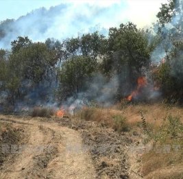 В селе Кенгерли Агдамского района вспыхнул пожар