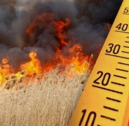 Пожароопасная погода 