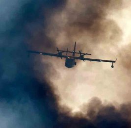 Во Франции 60 000 человек эвакуировали из-за масштабных лесных пожаров: Макрон обратился за помощью к другим странам ЕС
