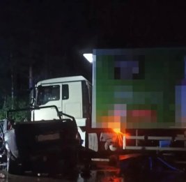 
Пять человек, включая троих детей, погибли в ДТП в Костромской области РФ