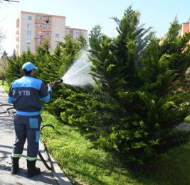 
В Баку прошел очередной субботник