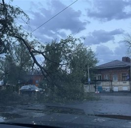 В Ростове-на-Дону из-за непогоды погиб человек, еще 13 пострадали
