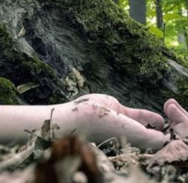 Трагедия в Шамкире