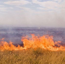 
Пожары на открытых местностях в Агдамском районе потушены