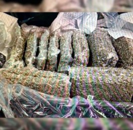 
В аэропорту Алматы обнаружили зараженную продукцию из Нидерландов и Армении