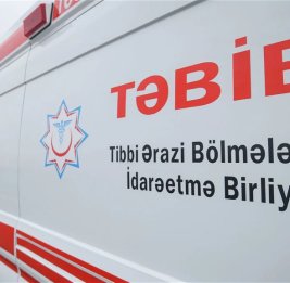 Обнародовано состояние граждан, пострадавших из-за упавшего дерева