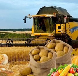 Большая стратегия для малых наделов