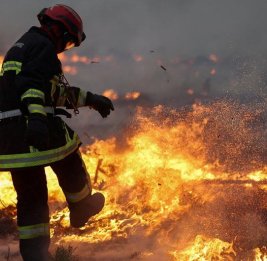 Во Франции задержали подозреваемого в причастности к лесным пожарам