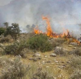 В Агдаме, Физули и Джебраиле начались пожары на открытых территориях