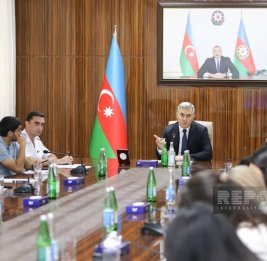 Азербайджан готовится внедрить ИИ в управление миграцией