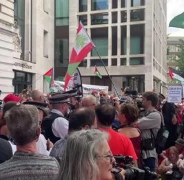 Массовые задержания в Лондоне: полиция пресекла пропалестинскую акцию