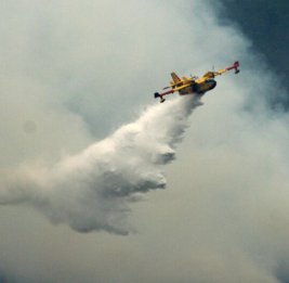 
Пожары в Европе и Северной Америке: выгорело почти 6 млн гектаров леса