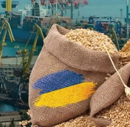 Война в Украине толкает мир к продовольственному кризису