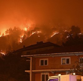 Огонь отступил: Турция взяла под контроль последние лесные пожары