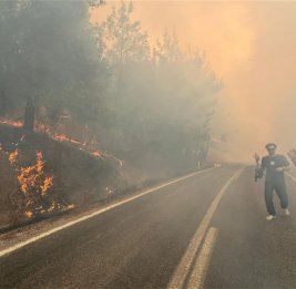 В Турции в связи с лесными пожарами арестованы шесть человек