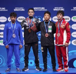 Азербайджанские борцы завершили чемпионат мира с семью медалями