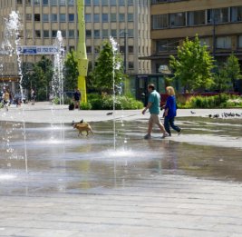 
В большинстве провинций Бельгии объявлен оранжевый уровень погодной опасности