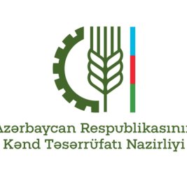 В Азербайджане будет подготовлен страновой отчет по консолидации земель
