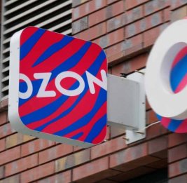 Ozon начал спасать дорогие товары после ударов по Wildberries