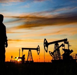 
Цены на нефть на мировых рынках вновь растут
