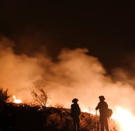 
В штате Вашингтон арестован подозреваемый в поджоге леса