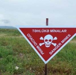 Во имя предсказуемого будущего