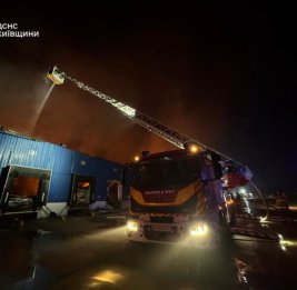 
В ходе воздушной атаки России в Киевской области погибли 14 человек