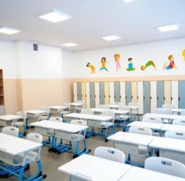 
В Казахстане искусственный интеллект планируют изучать с первого класса
