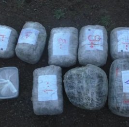 
В Астаре изъяли 18 кг наркотиков, двое арестованы