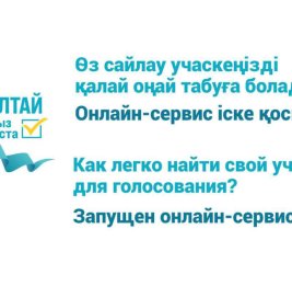 
В Казахстане запустили онлайн-сервис для поиска избирательного участка