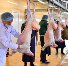 
В Азербайджане выявлены нарушения в пунктах убоя скота