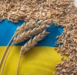 Украине грозит обвал экспорта зерна