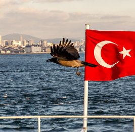 
Bloomberg: Турция ограничивает проход торговых судов в Черное море