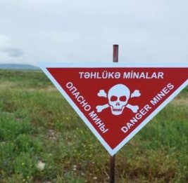 
На освобожденных территориях Азербайджана за неделю от мин очищено более 1,5 тыс. га
