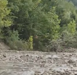 Дождь застал Шеки врасплох