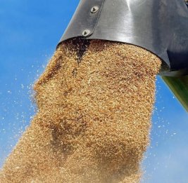 
ЕС пока не обещает Украине решения для вывоза зерна