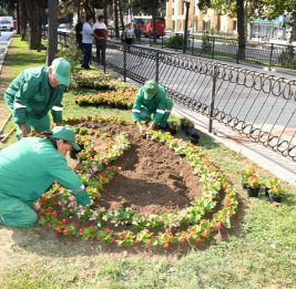 В Баку прошёл масштабный субботник