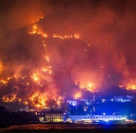 В Хорватии не могут остановить сильнейший лесной пожар &mdash; есть жертвы